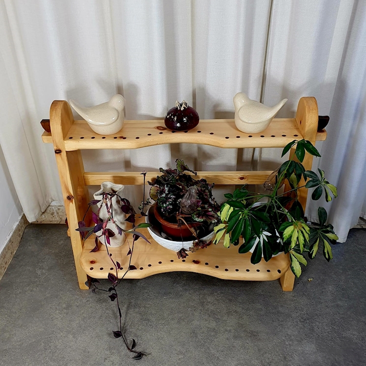 מעמד לעציצים